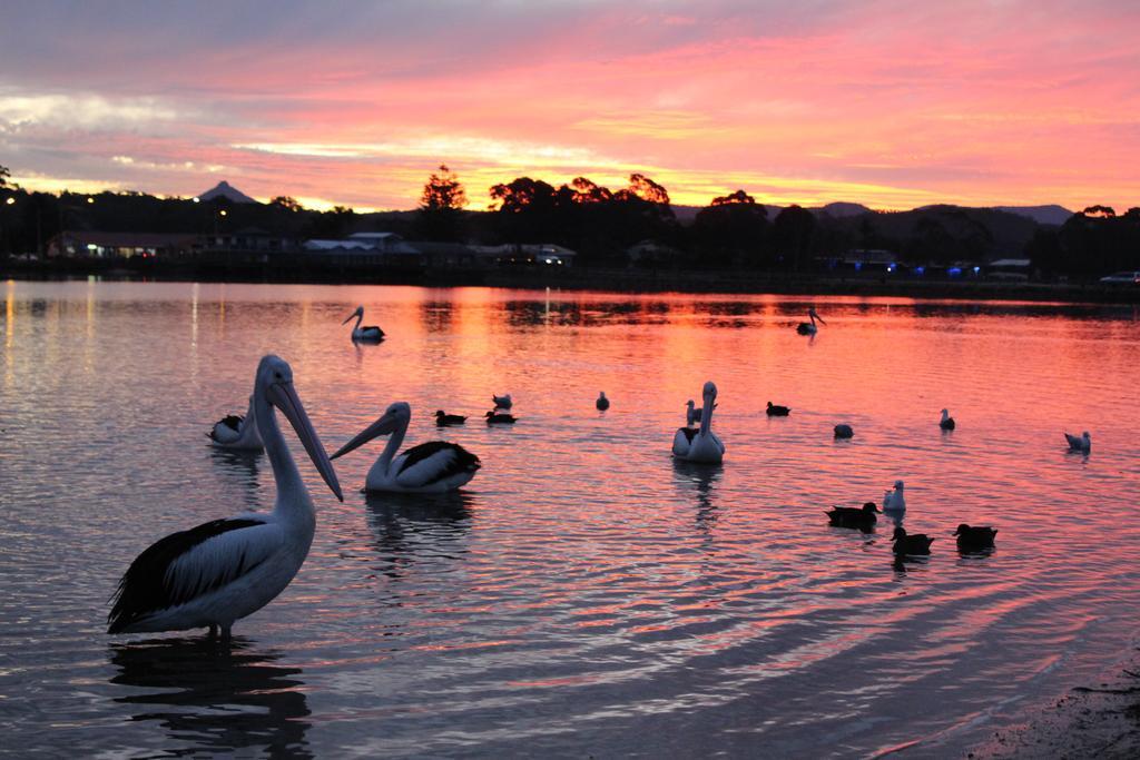 Holiday Haven Burrill Lake Exterior foto